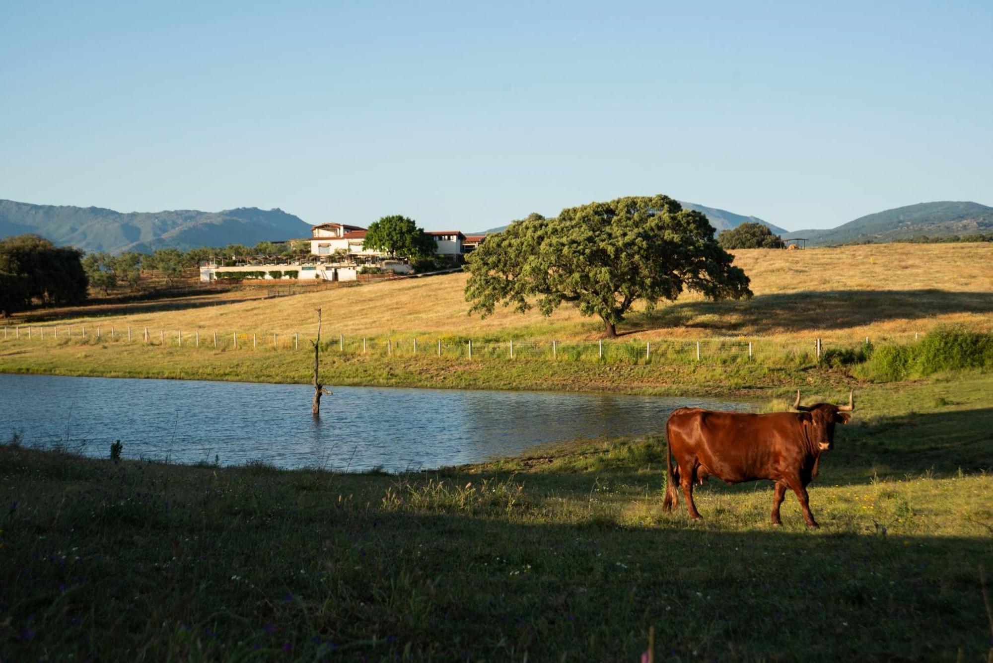 Habitat Cigueena Negra 巴尔韦尔德德尔夫雷斯诺 外观 照片